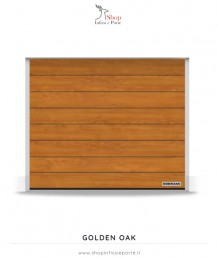 Portone sezionale RenoMatic Hormann Greca-M superficie Decocolor